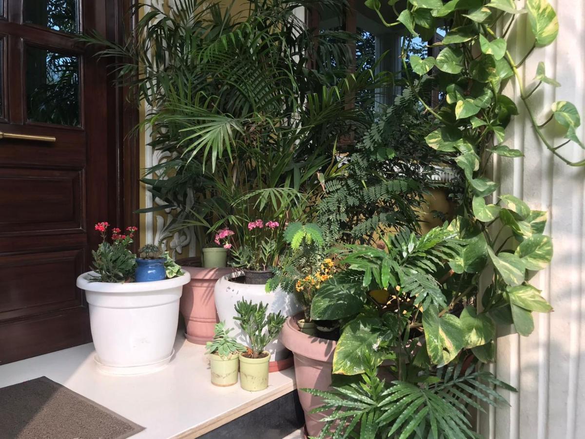 Jeenmount Heritage Boutique Hotel Jaipur Buitenkant foto